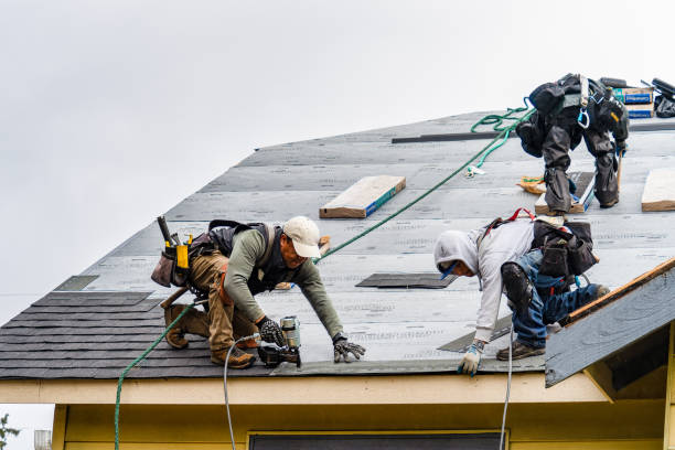 Professional Roof Installation technician working in Dahinda, IL